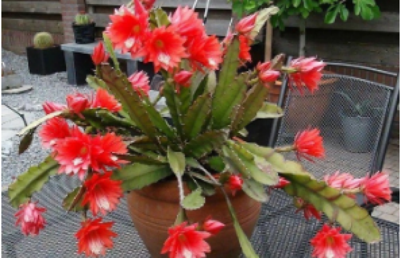 Фото предоставлено автором